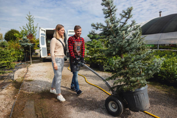 Best Tree Trimming and Pruning  in Hillview, KY