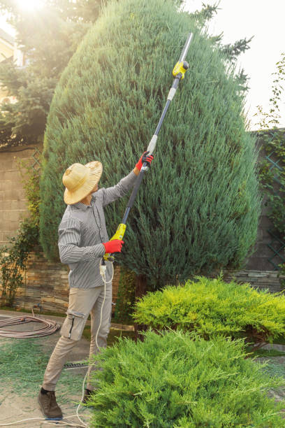 Best Utility Line Clearance  in Hillview, KY